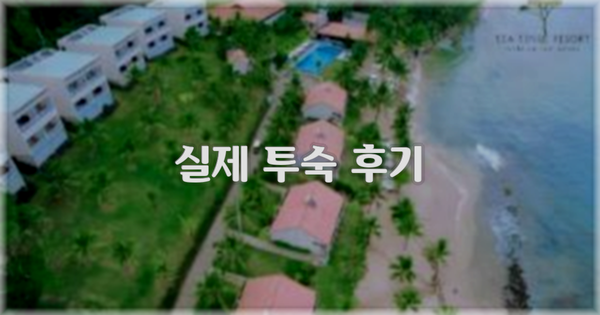 💬 실제 투숙 후기