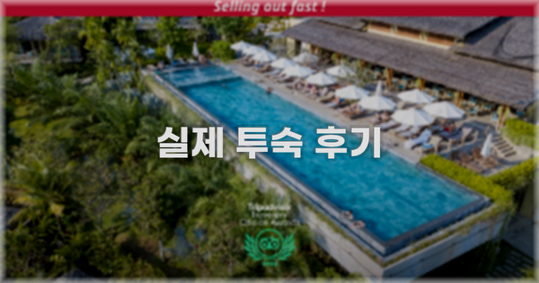 💬 실제 투숙 후기