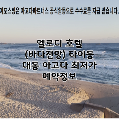 멜로디 호텔 (바다전망) 타이둥 대동 아고다 최저가 예약정보
